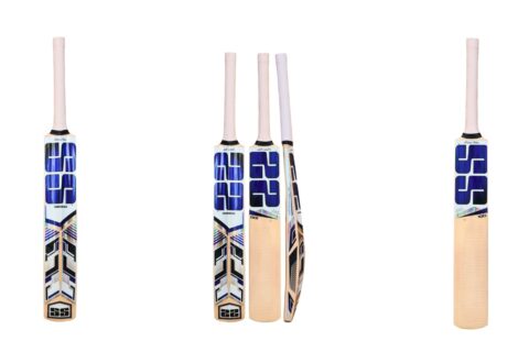 SS Master 100 Kashmir Willow Cricket Bat -SH India